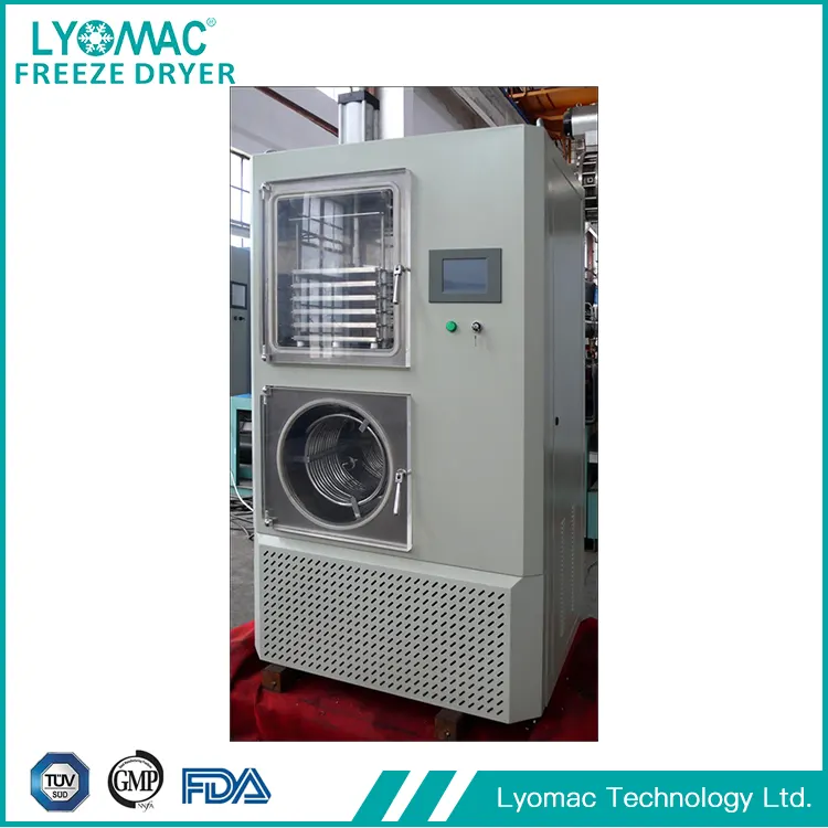 GMP 규정 준수: Lyomac Global Pharma Trust의 흔들리지 않는 기반