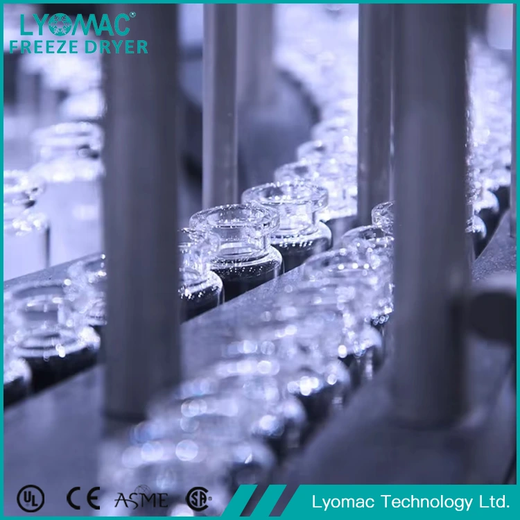 Lyomac의 글로벌 프로젝트 관리: 국경을 넘어 성공 제공